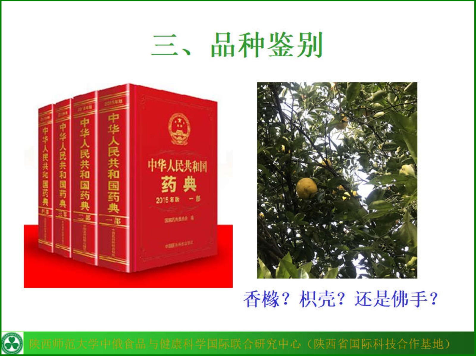 原来名称也丢了